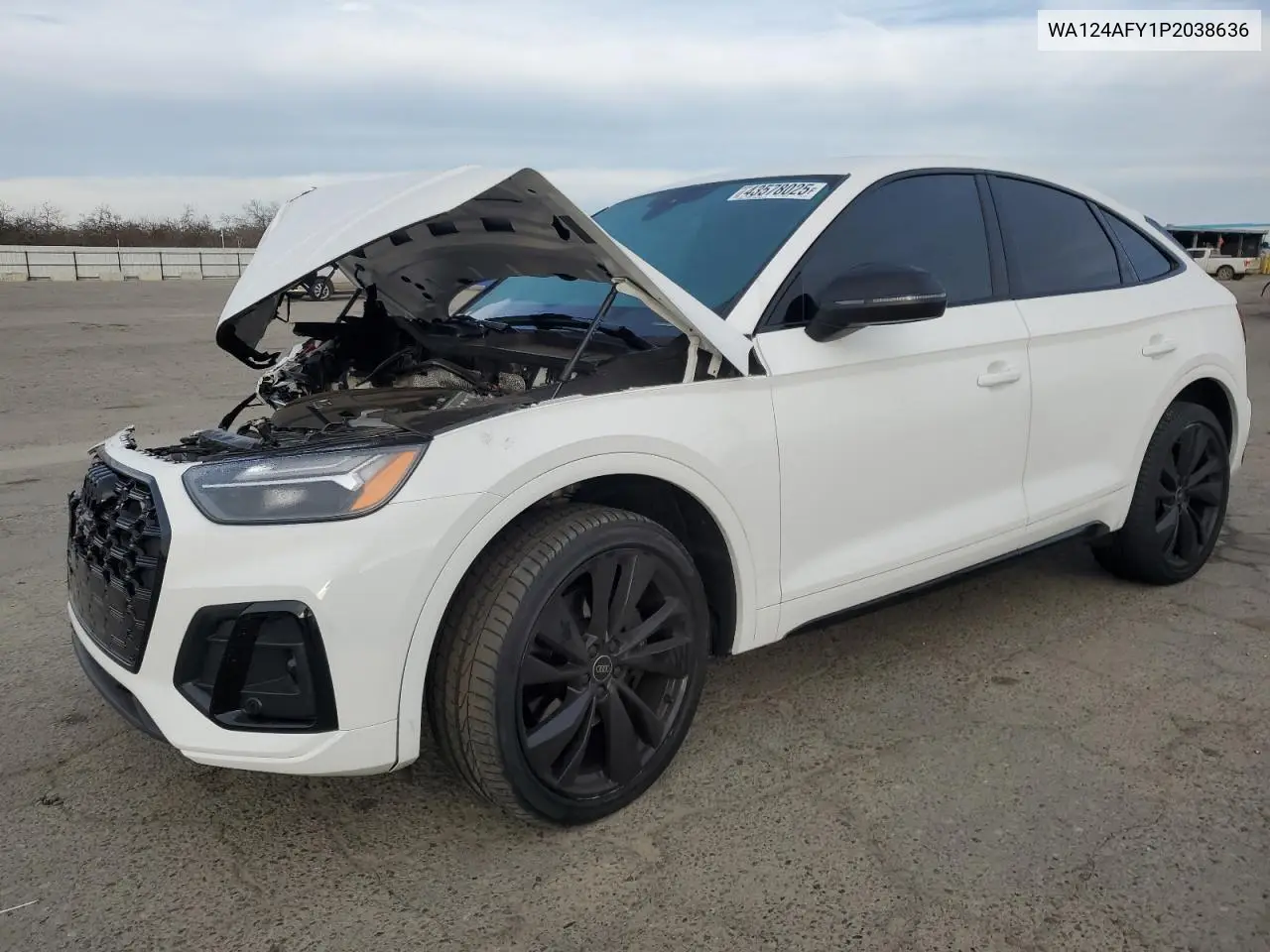 2023 Audi SQ5 Sportback — Copart lot #43578025