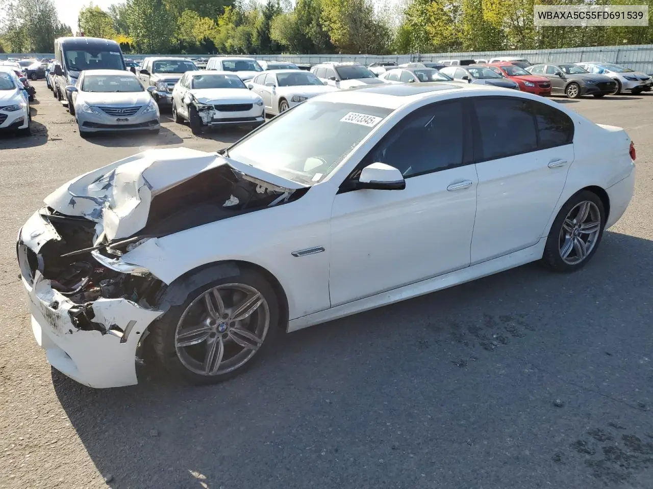 2015 BMW 5er