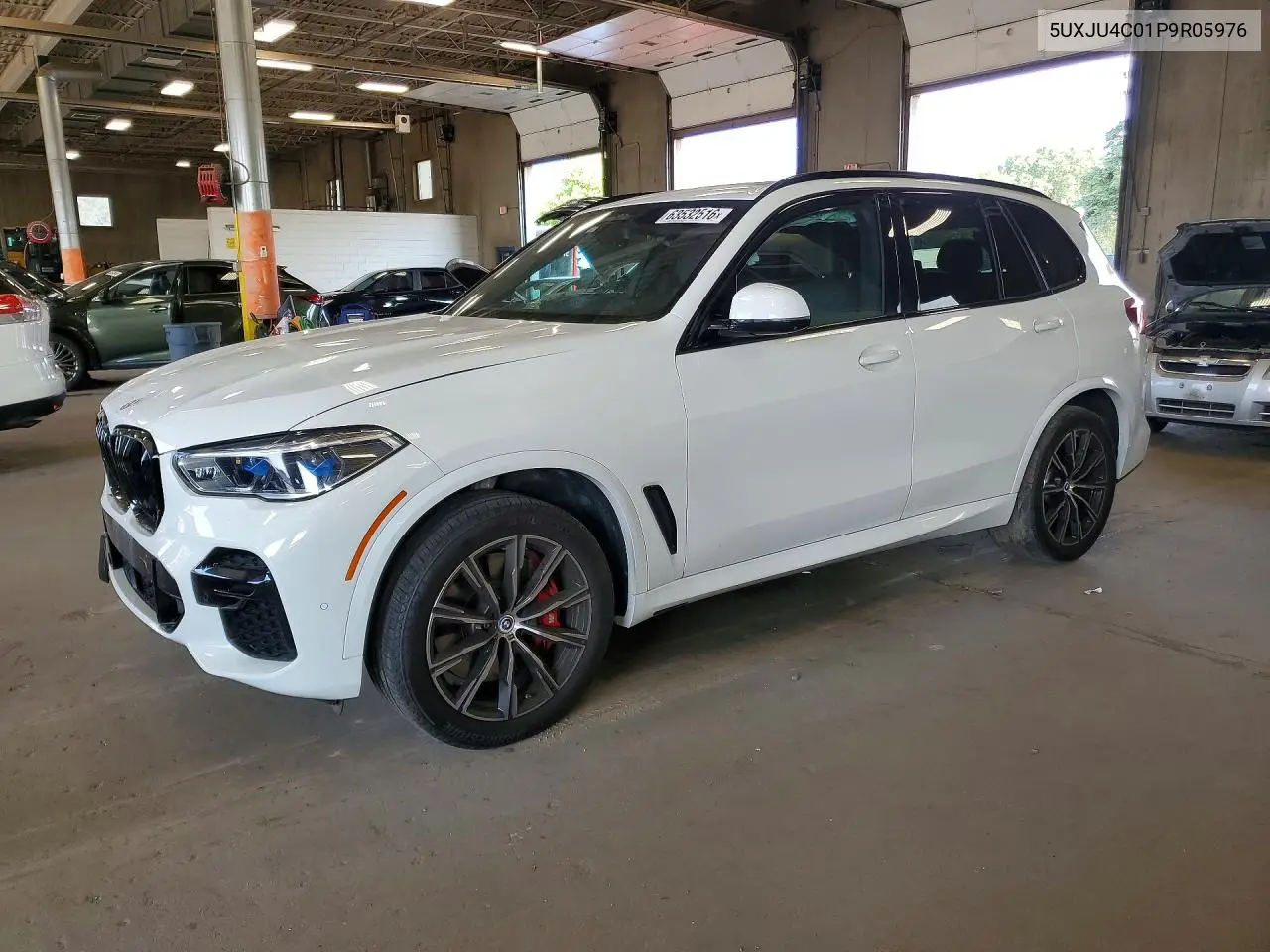 2023 BMW X5