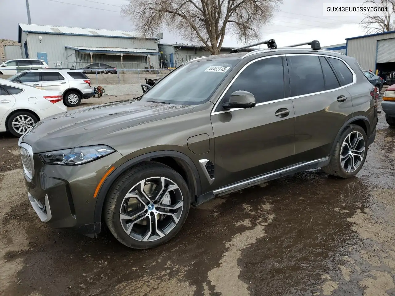 2025 BMW X5