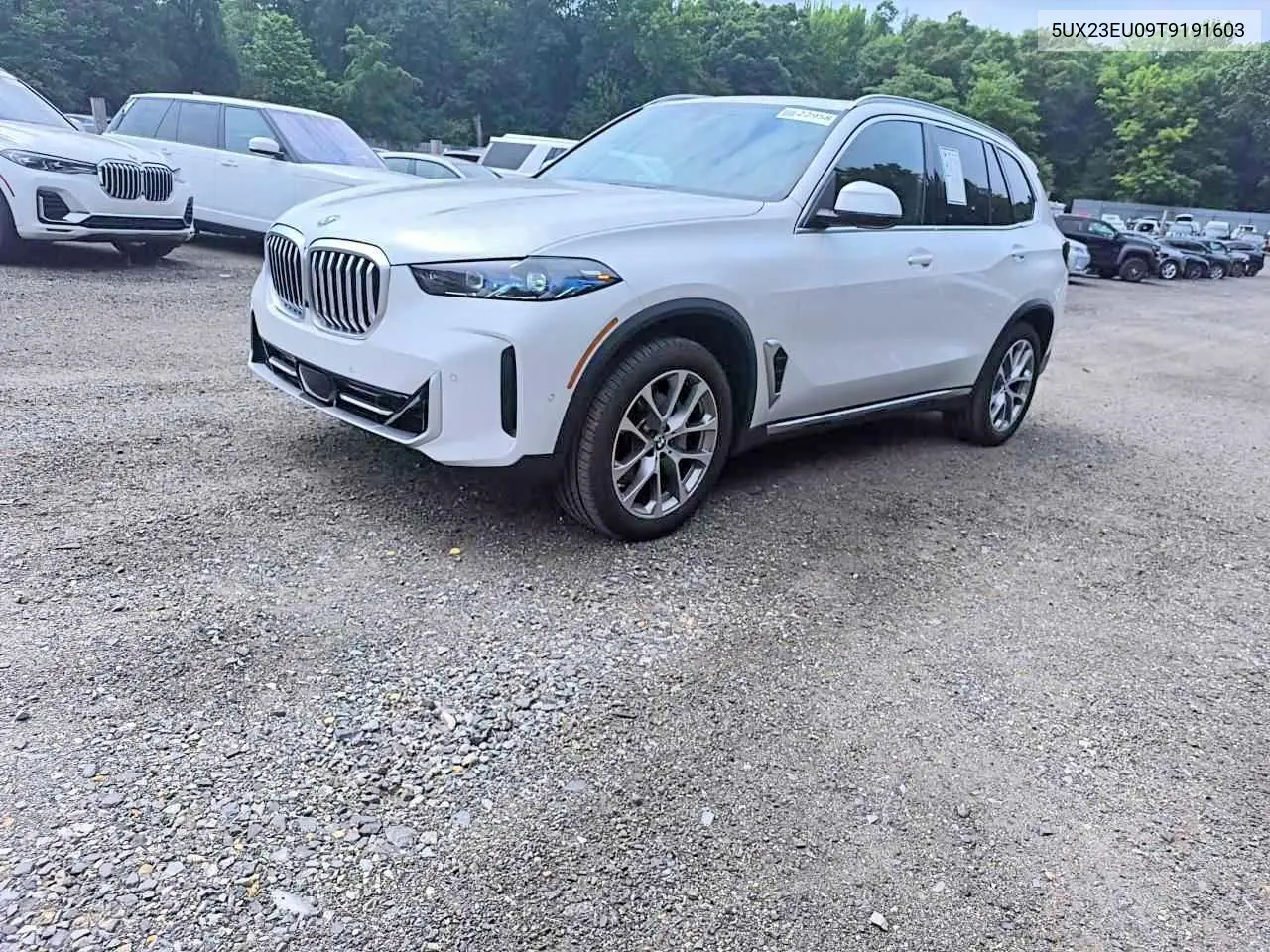 2026 BMW X5