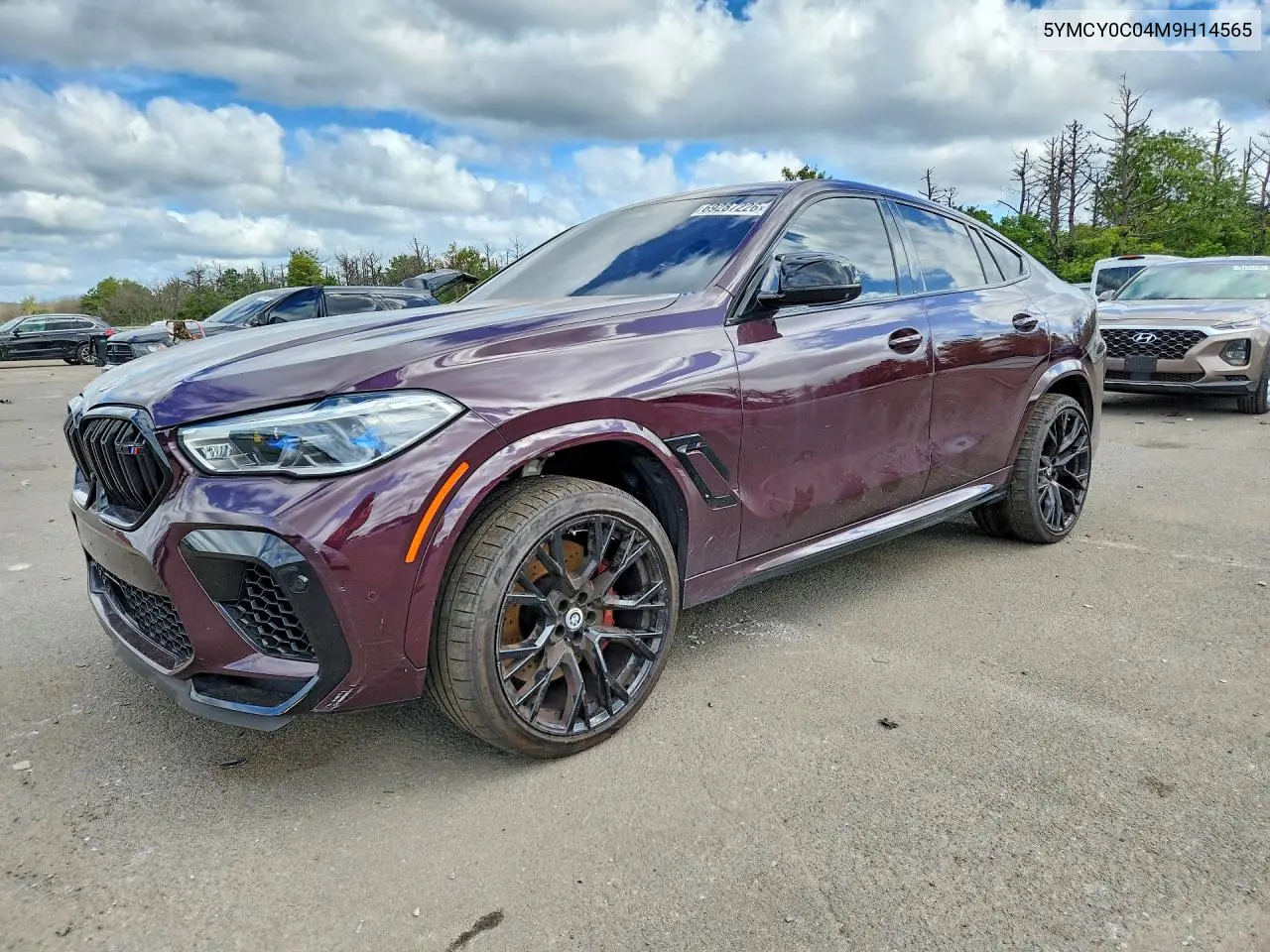 2021 BMW X6