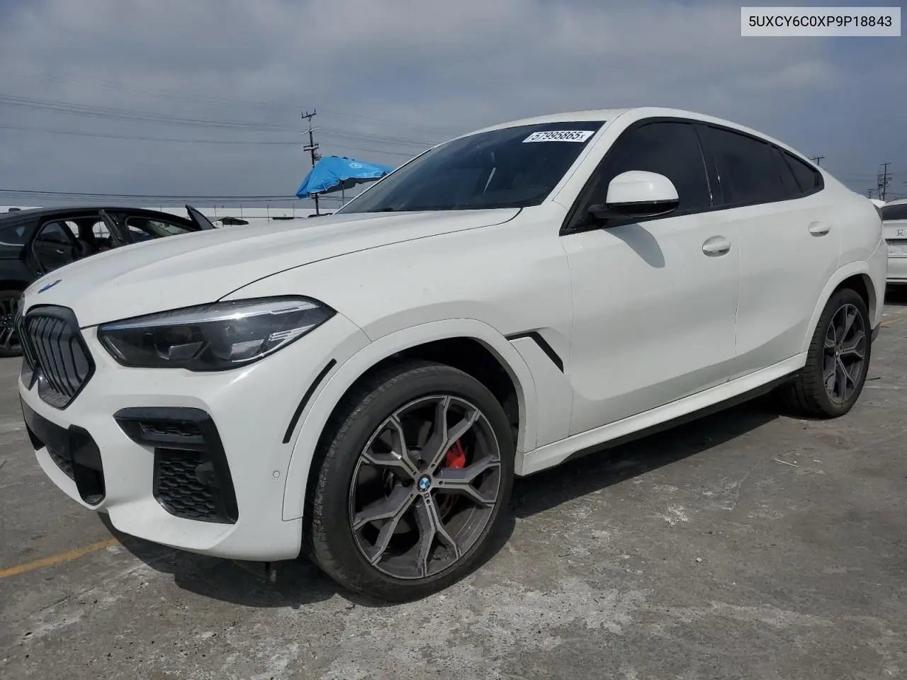 2023 BMW X6