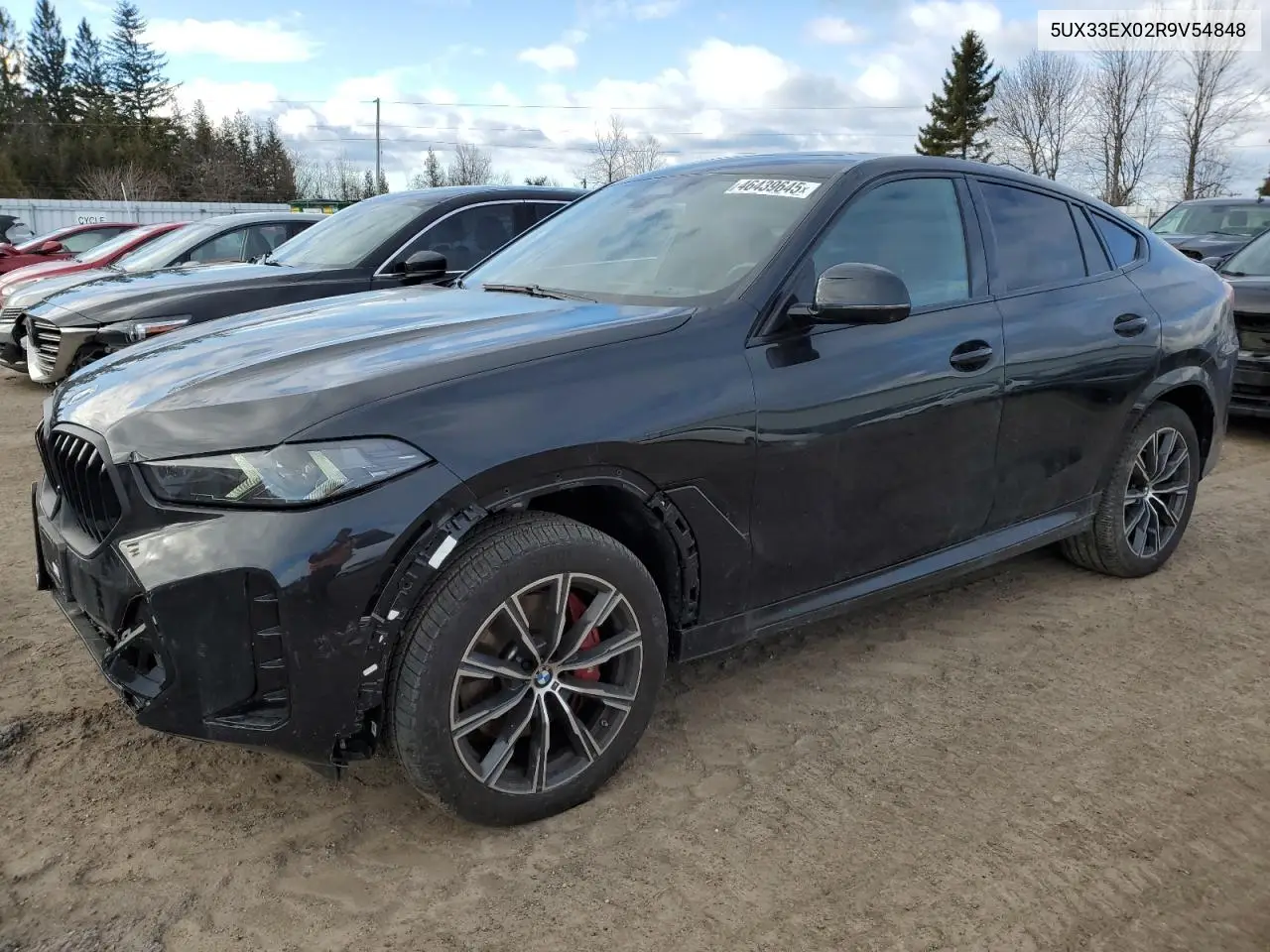 2024 BMW X6