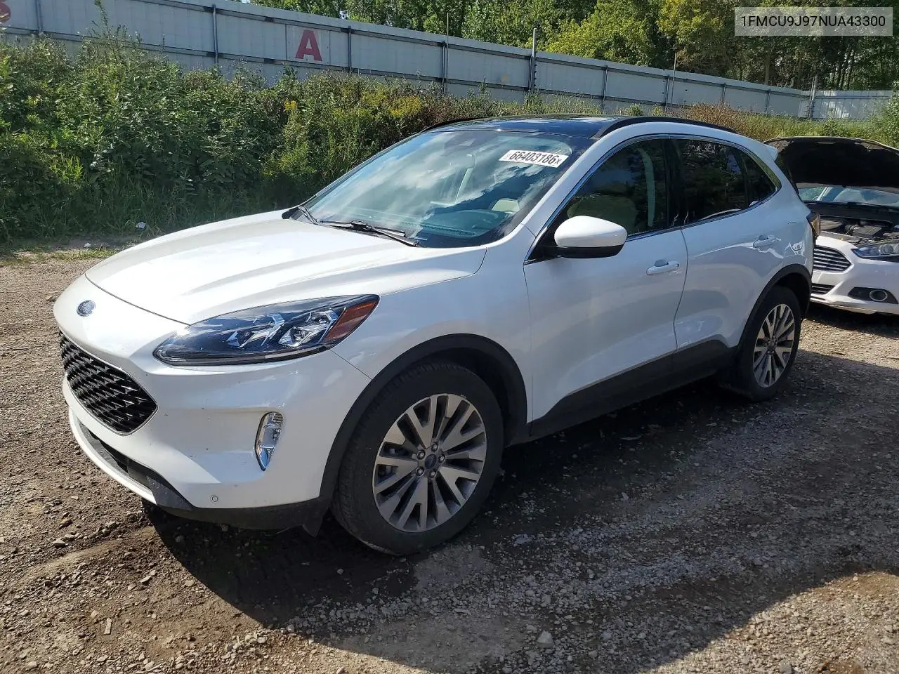 2022 Ford Escape