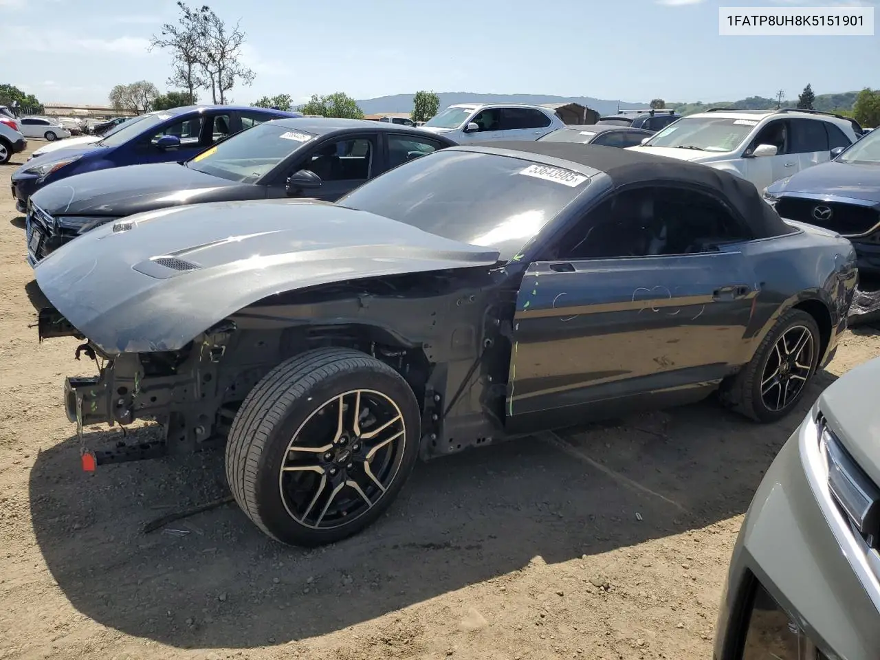 2019 Ford Mustang
