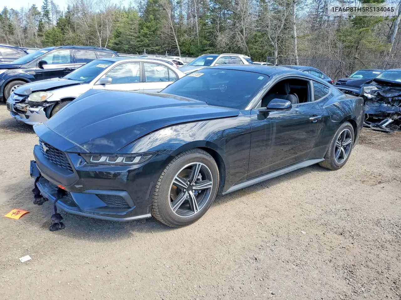2024 Ford Mustang