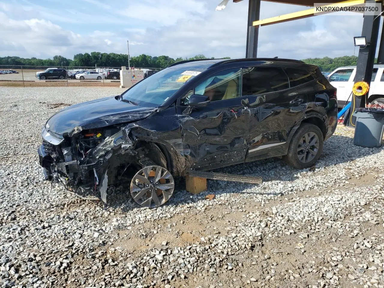 2023 Kia Sportage