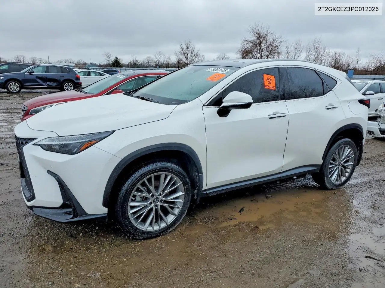 2023 Lexus NX