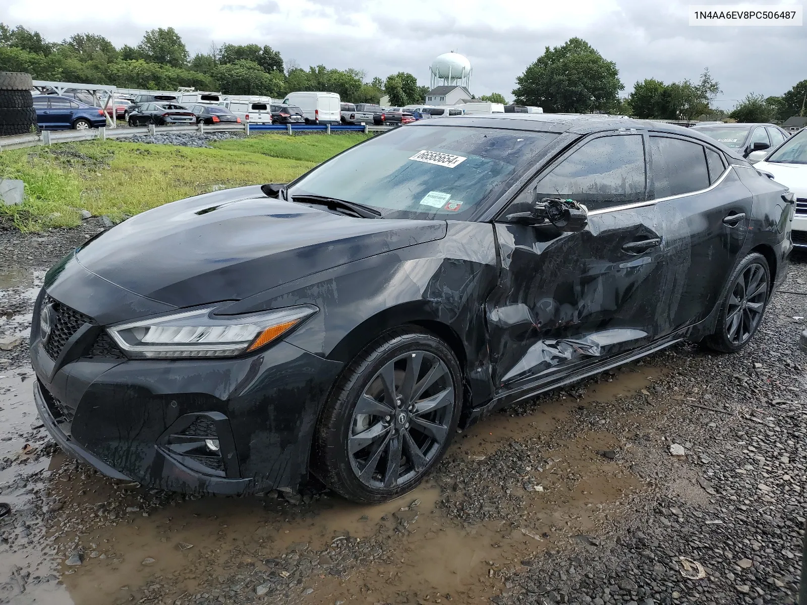 2023 Nissan Maxima