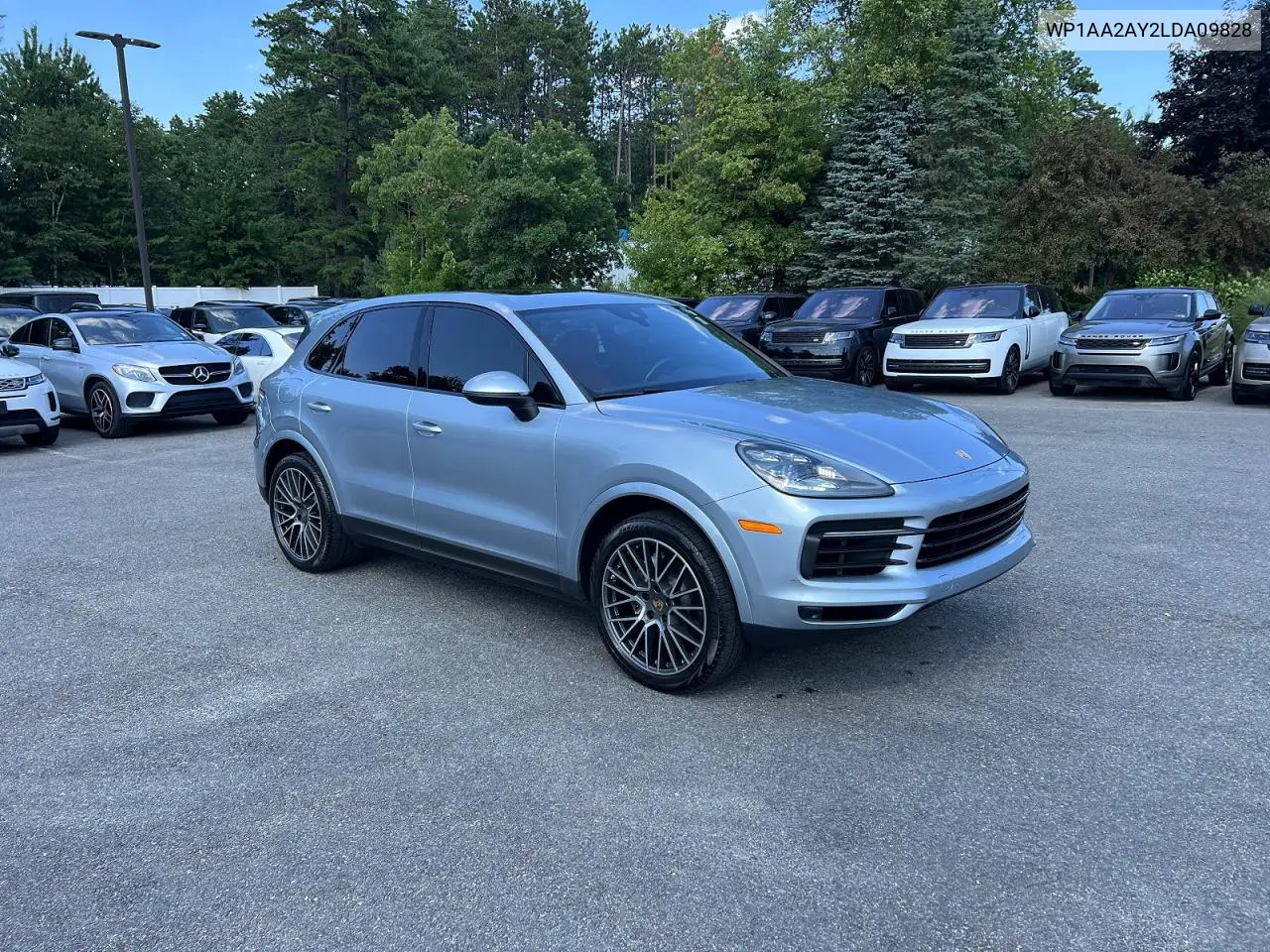 2020 Porsche Cayenne