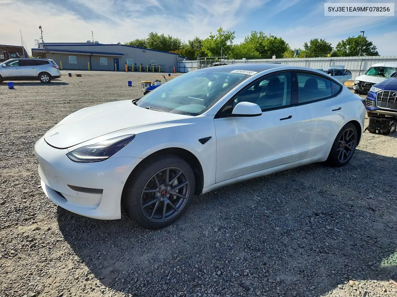 2021 Tesla Model 3