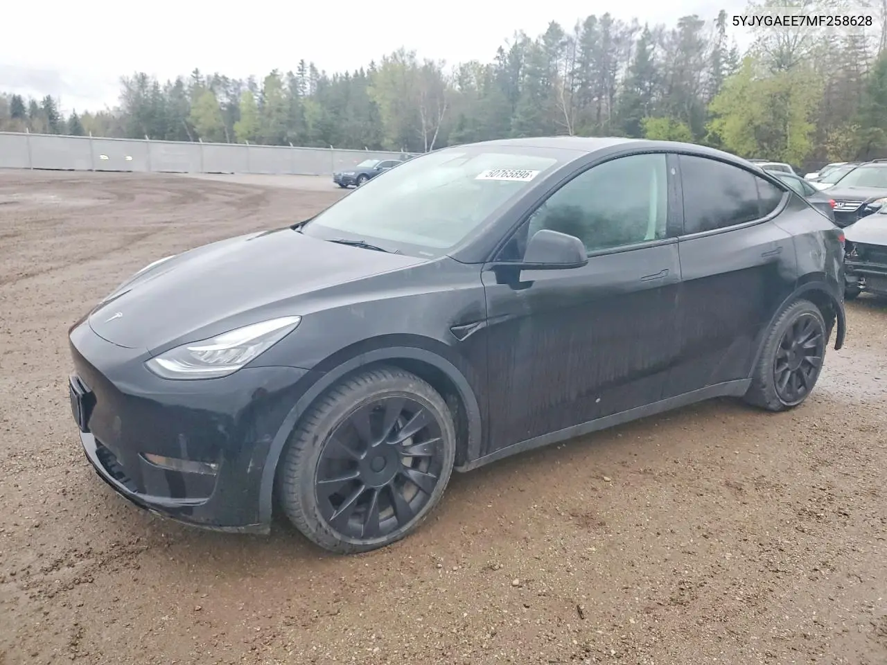 2021 Tesla Model Y