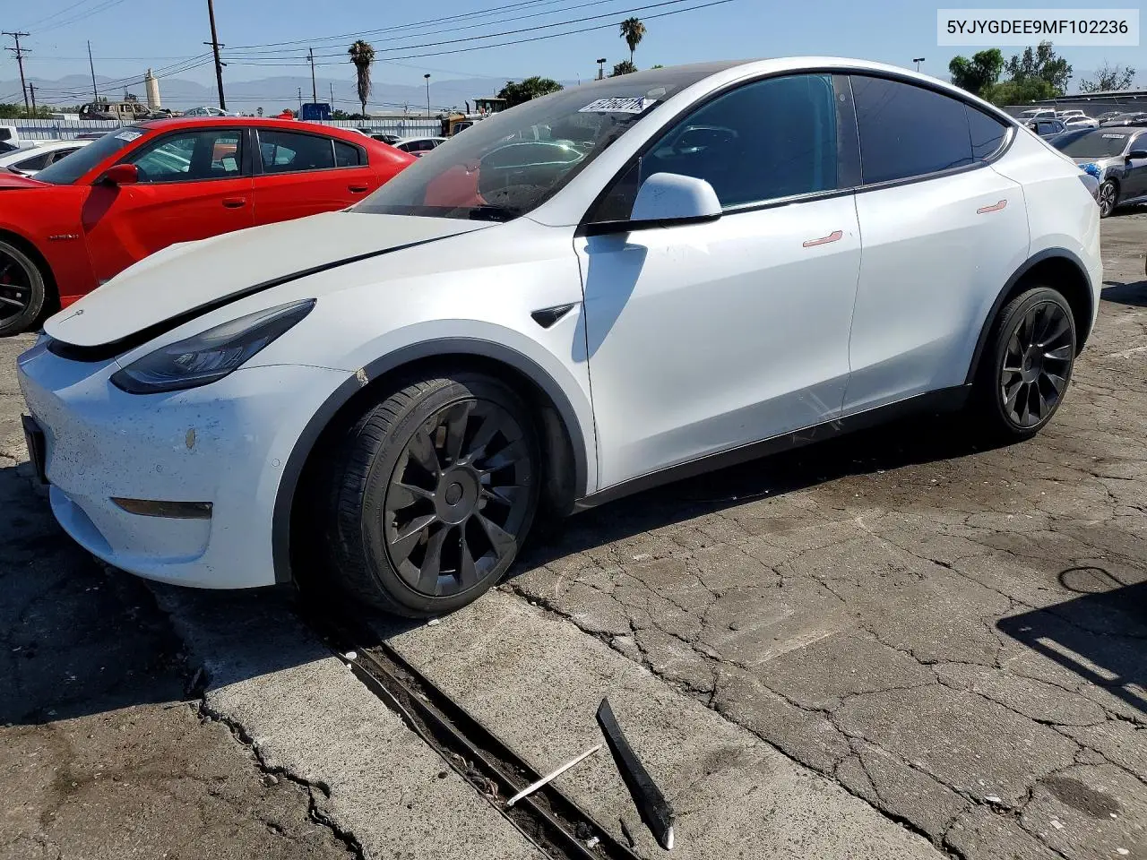 2021 Tesla Model Y