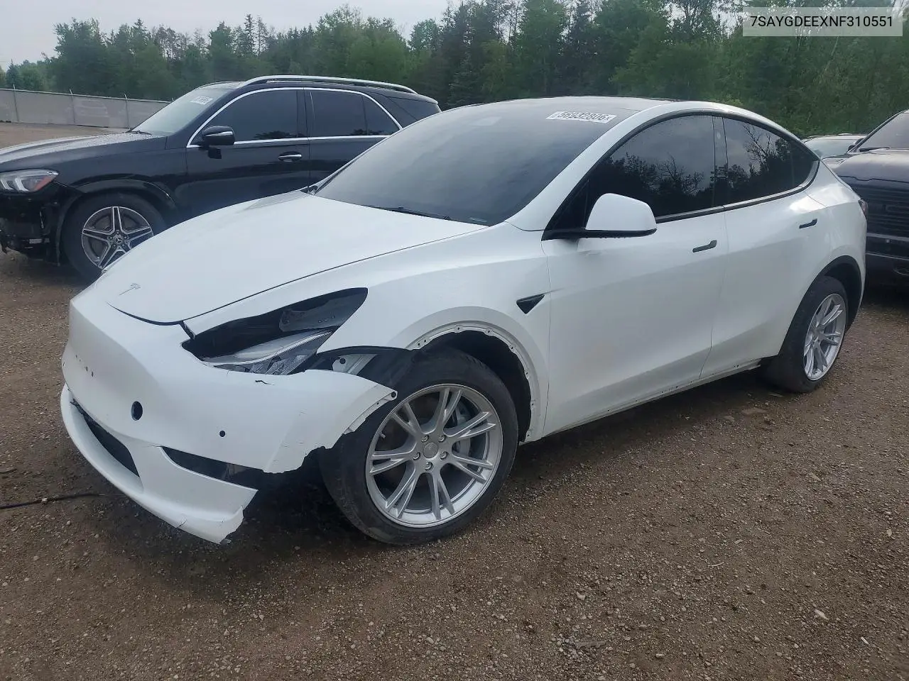 2022 Tesla Model Y