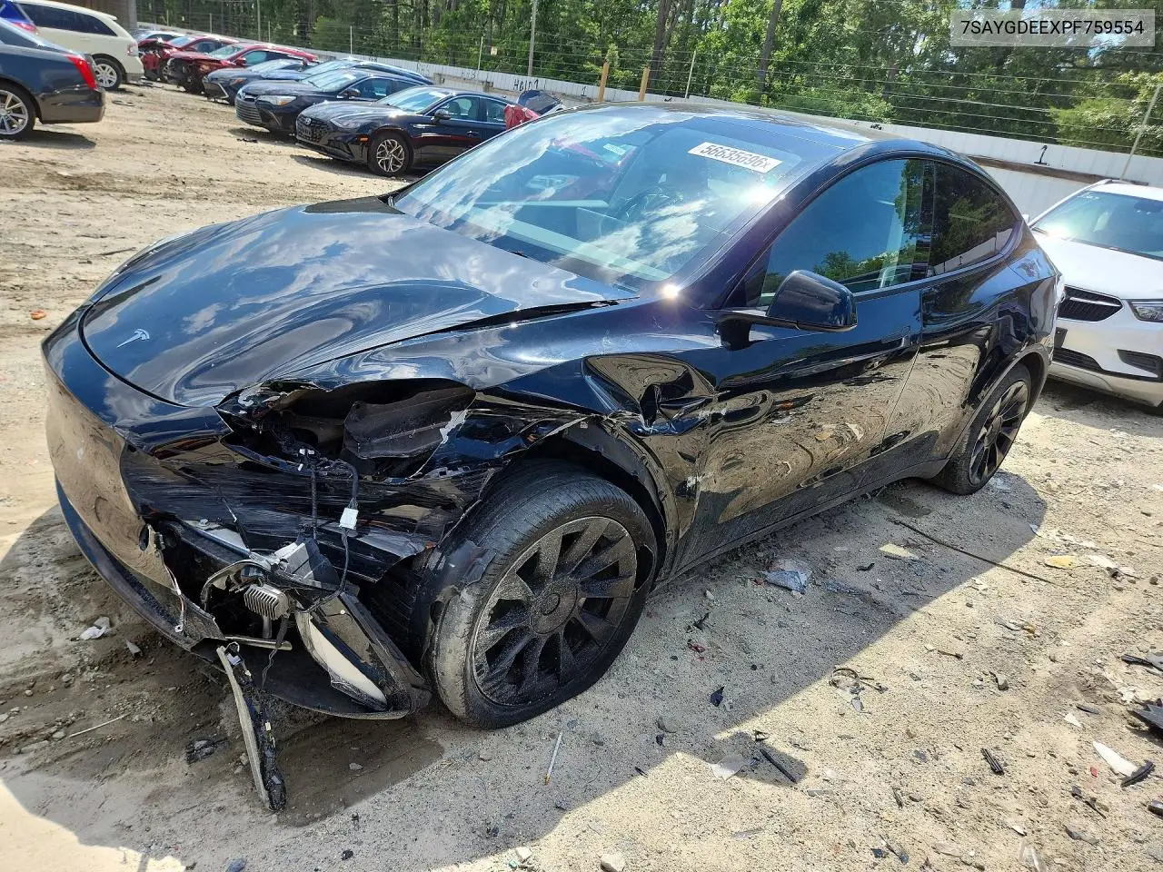 2023 Tesla Model Y