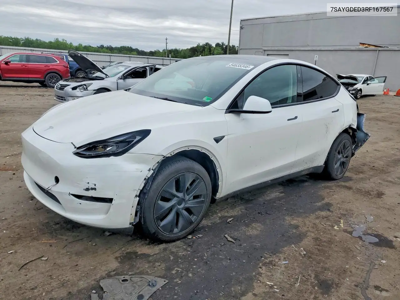 2024 Tesla Model Y