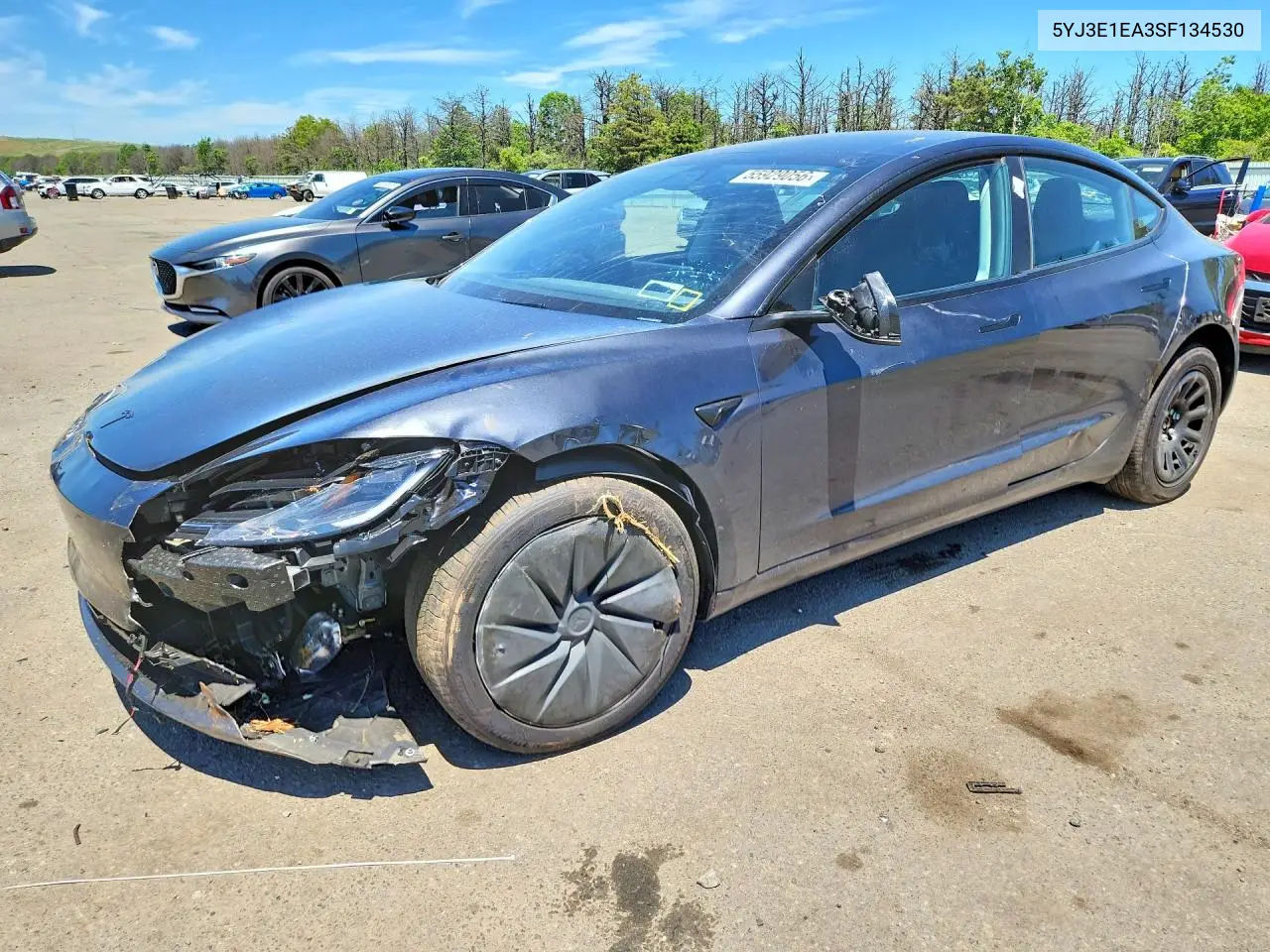 2025 Tesla Model 3