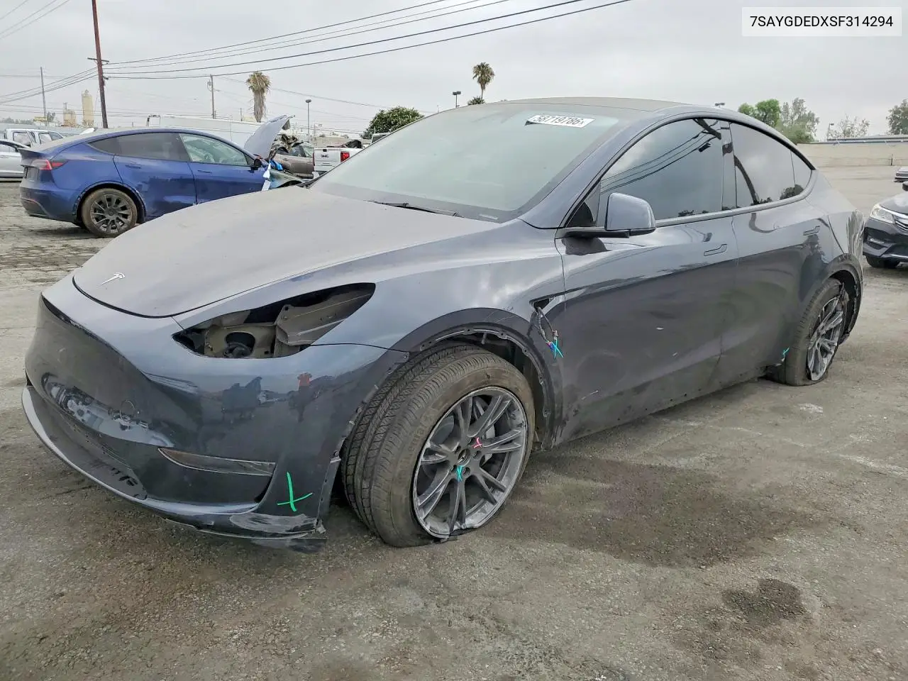 2025 Tesla Model Y