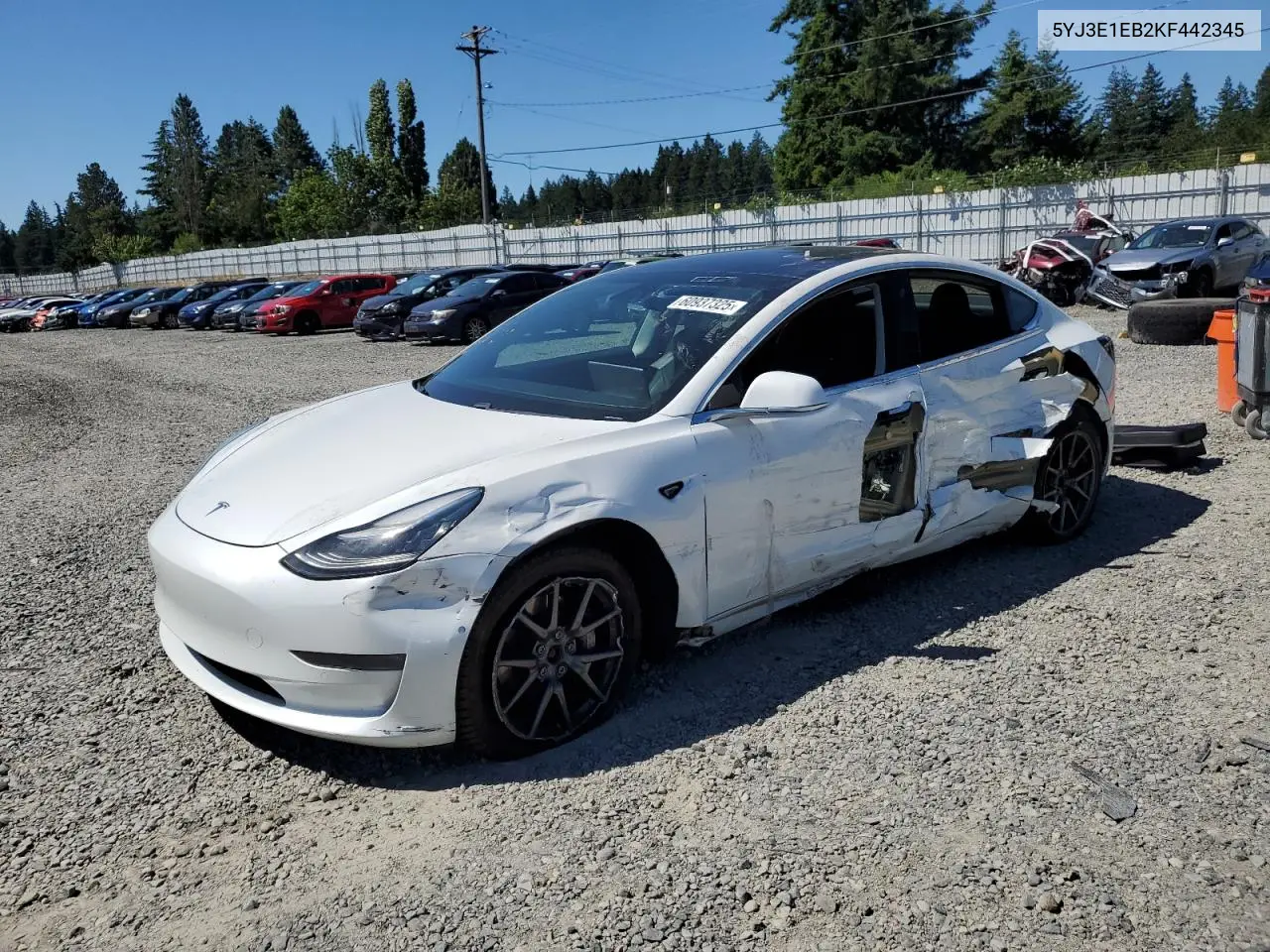 2019 Tesla Model 3