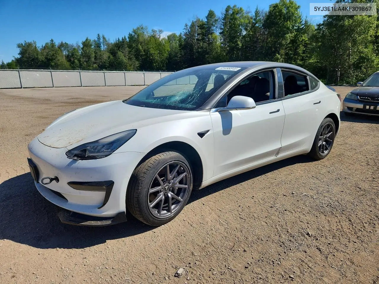 2019 Tesla Model 3