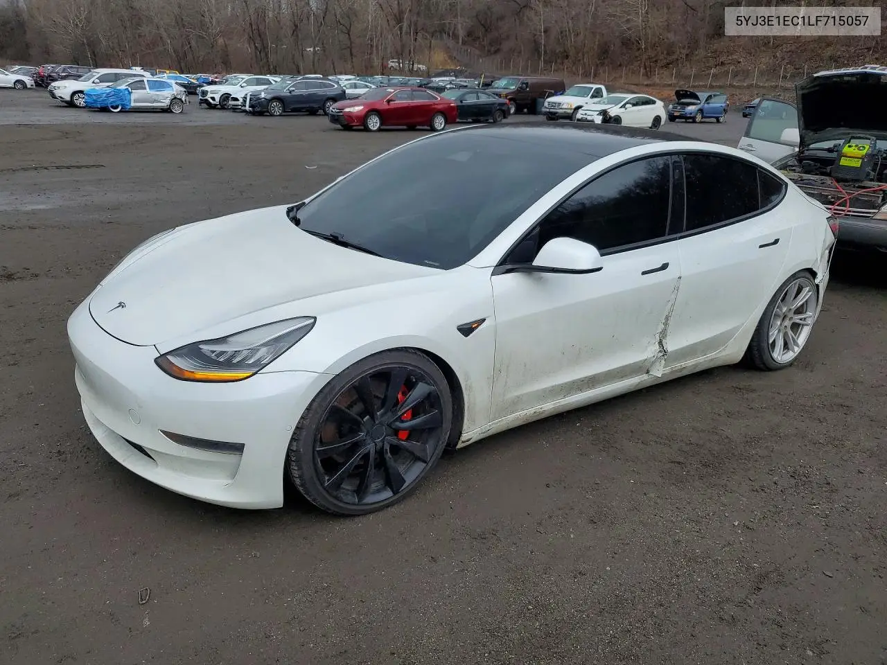 2020 Tesla Model 3 — Copart lot #41785546