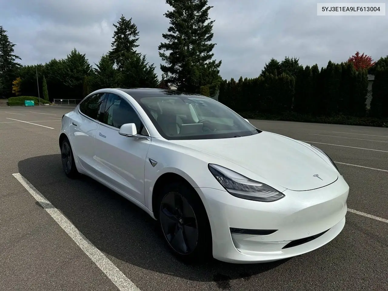 2020 Tesla Model 3