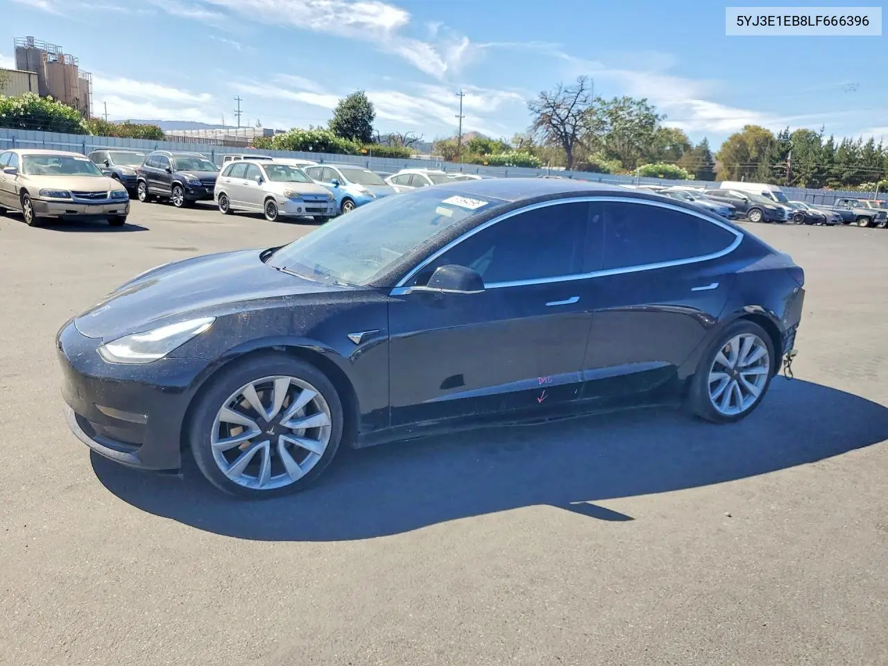 2020 Tesla Model 3