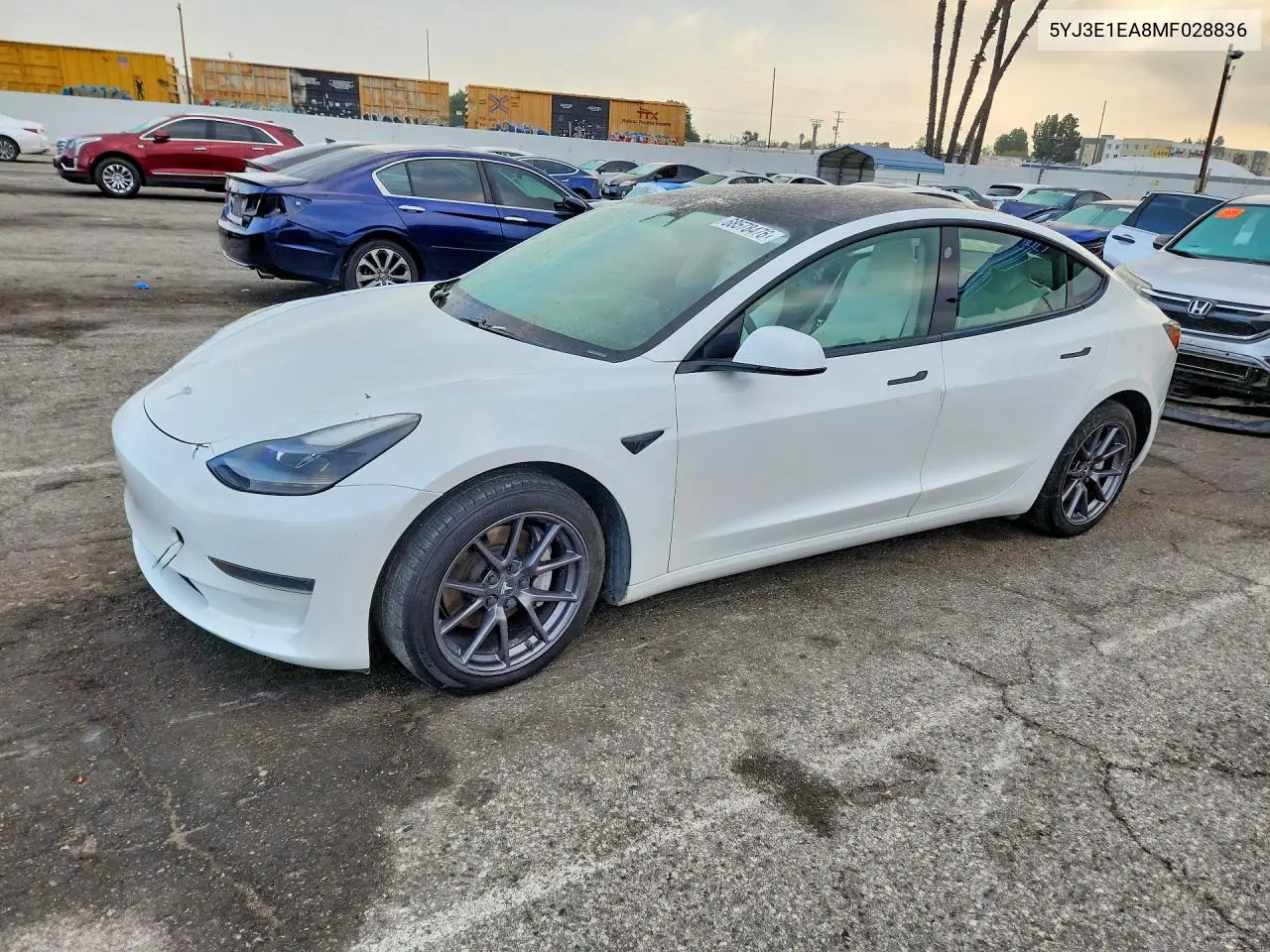 2021 Tesla Model 3