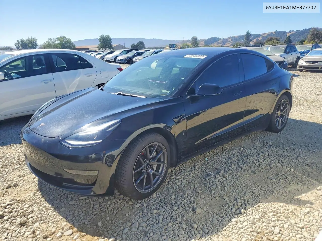 2021 Tesla Model 3
