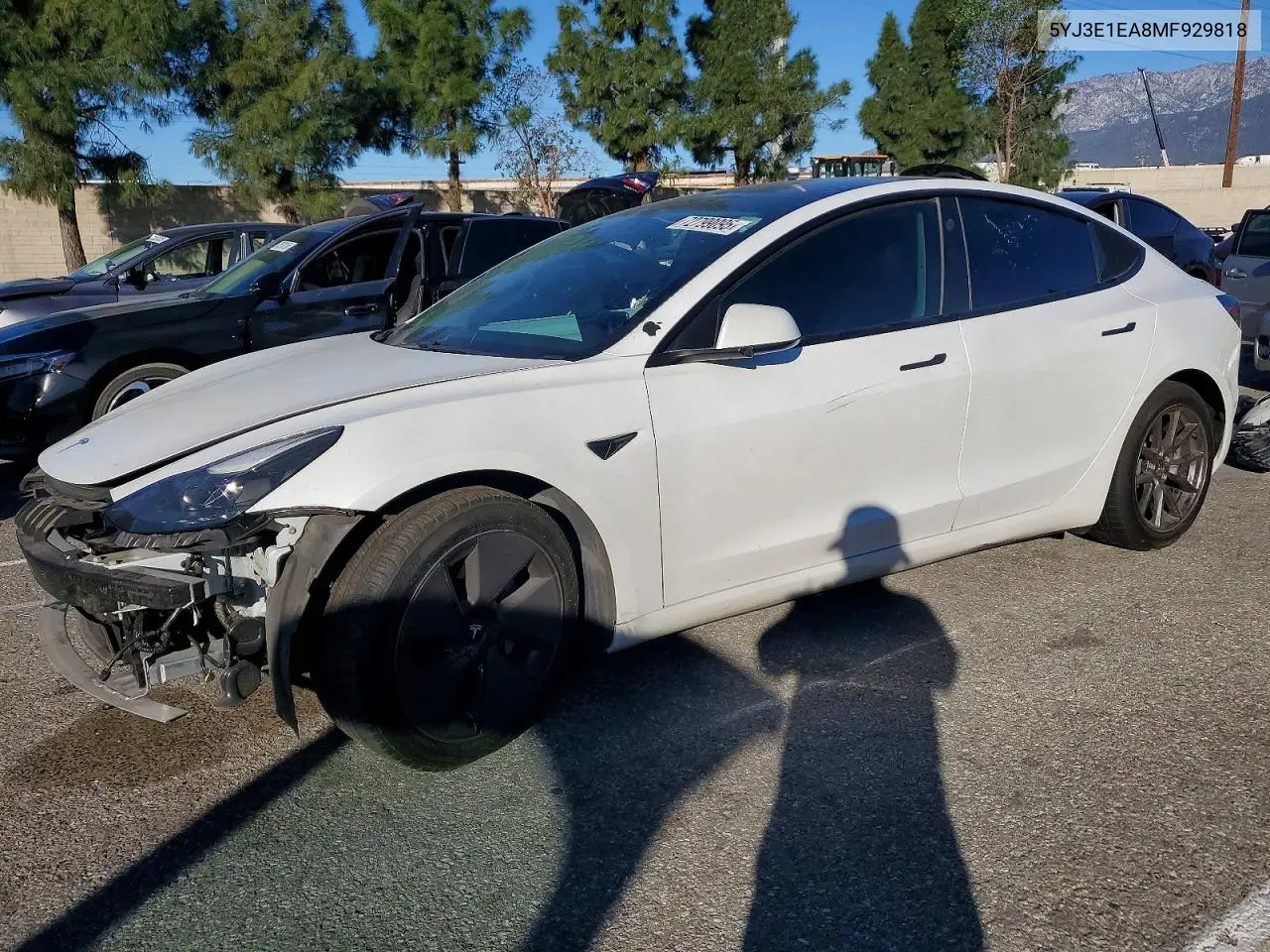 2021 Tesla Model 3