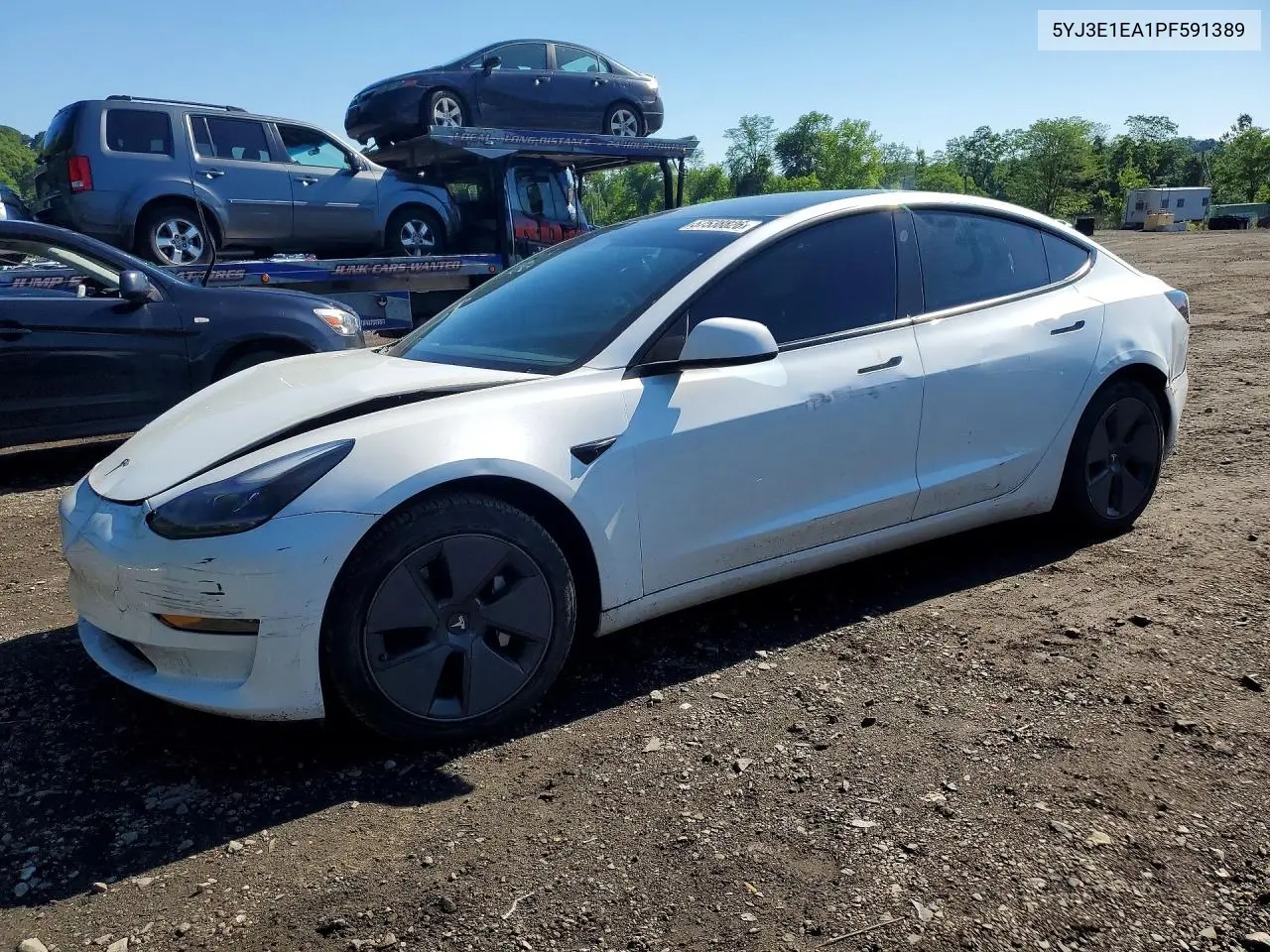2023 Tesla Model 3