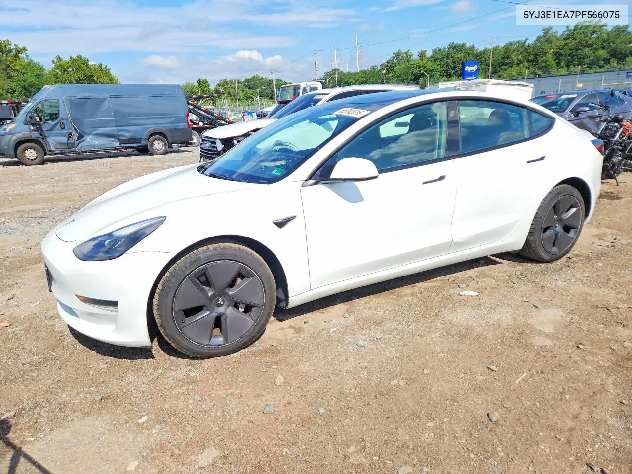 2023 Tesla Model 3