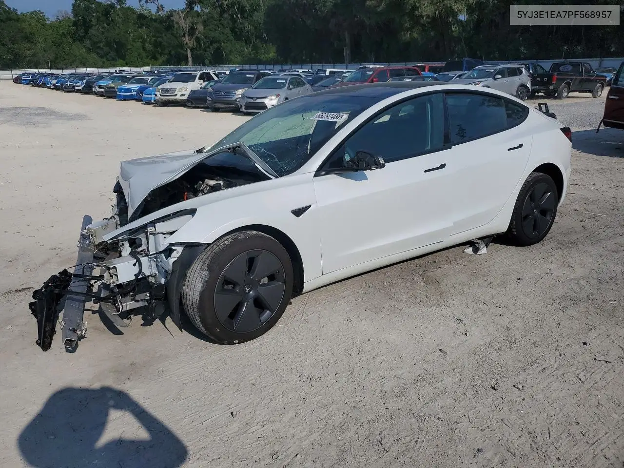 2023 Tesla Model 3