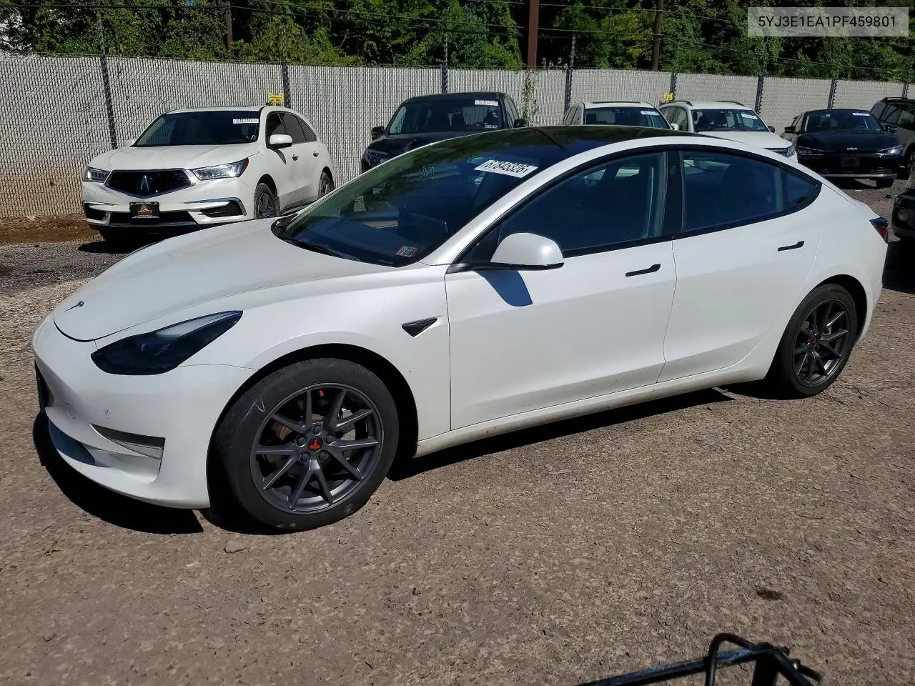 2023 Tesla Model 3