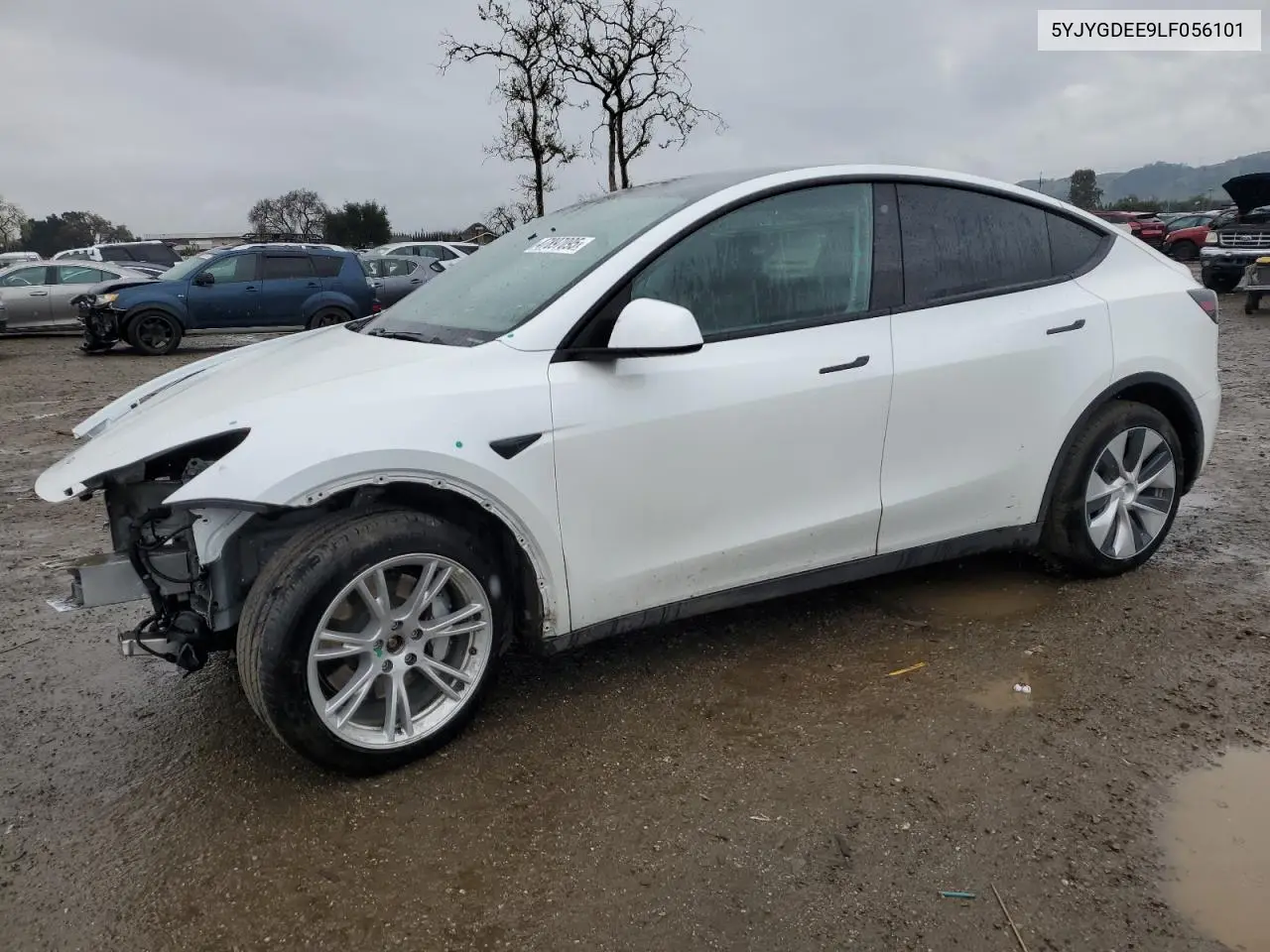 2020 Tesla Model Y