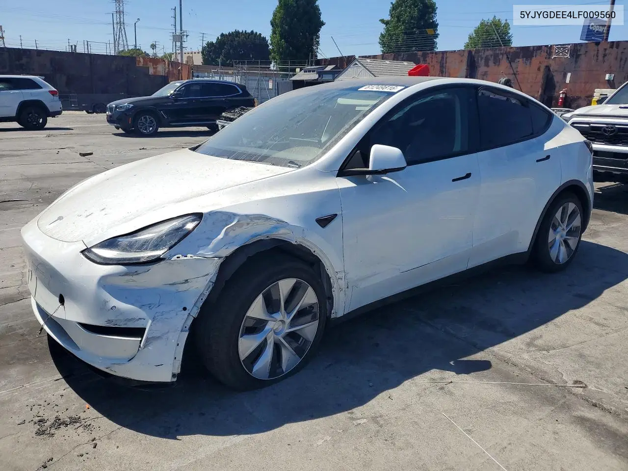 2020 Tesla Model Y