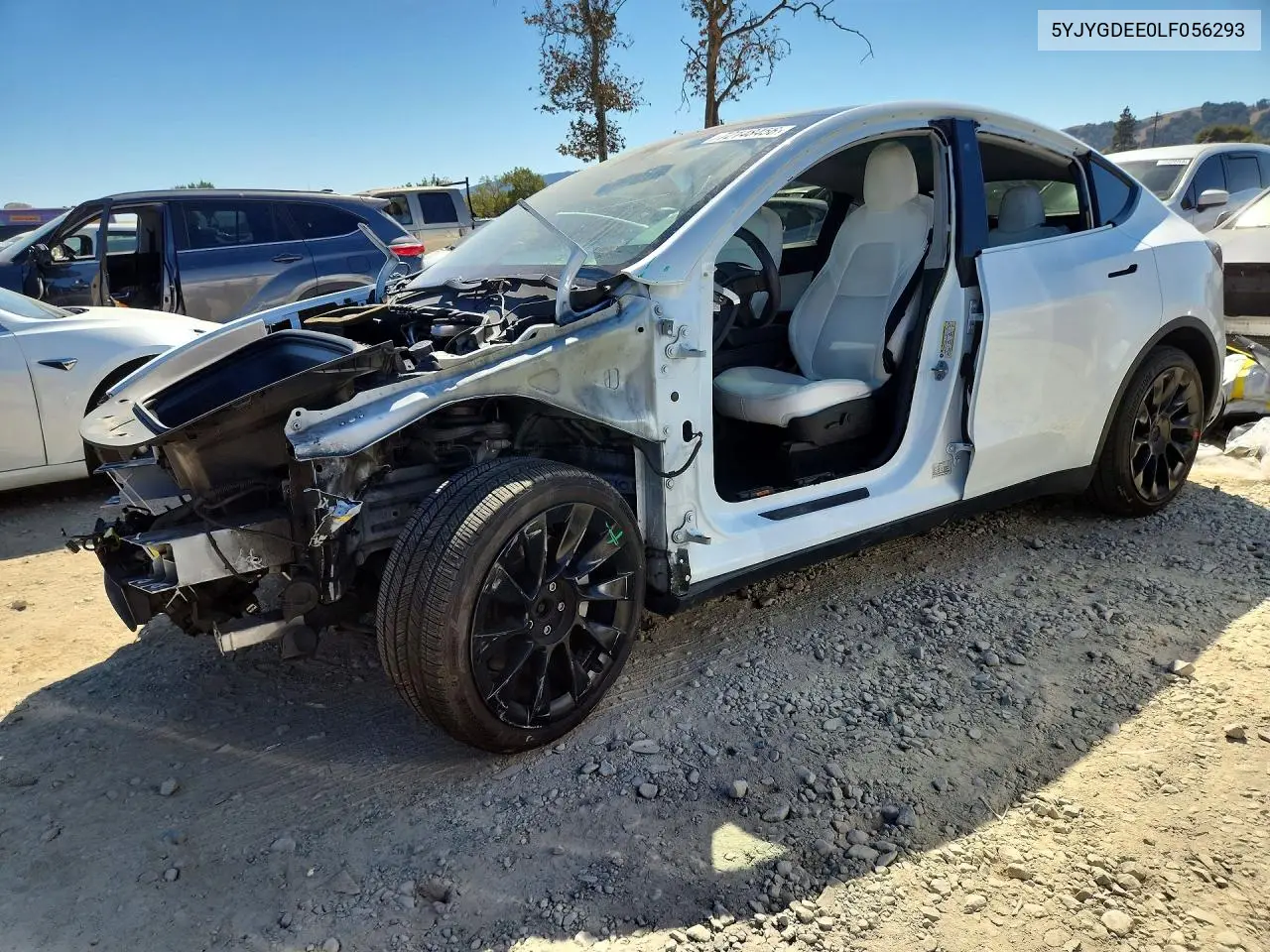2020 Tesla Model Y
