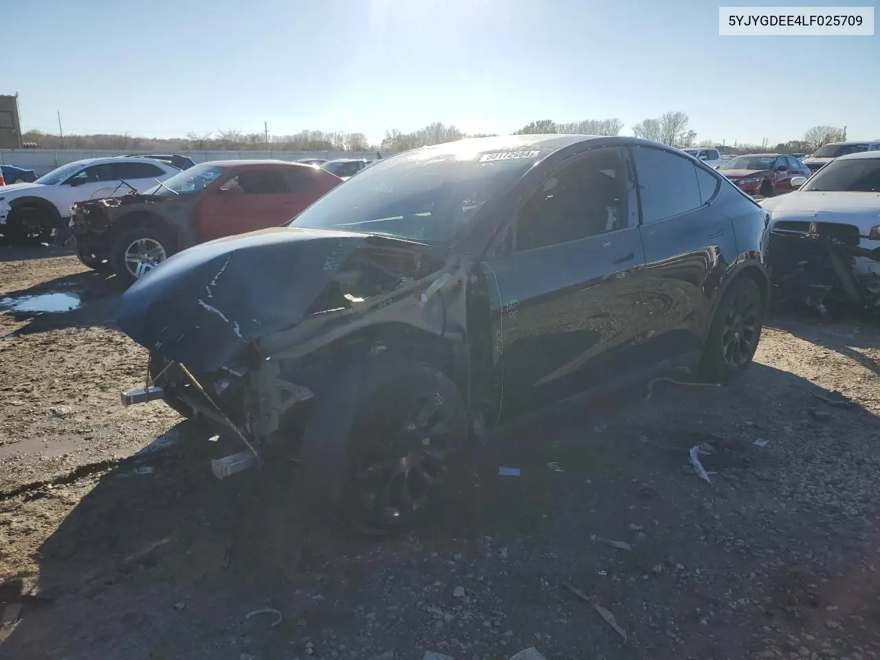 2020 Tesla Model Y