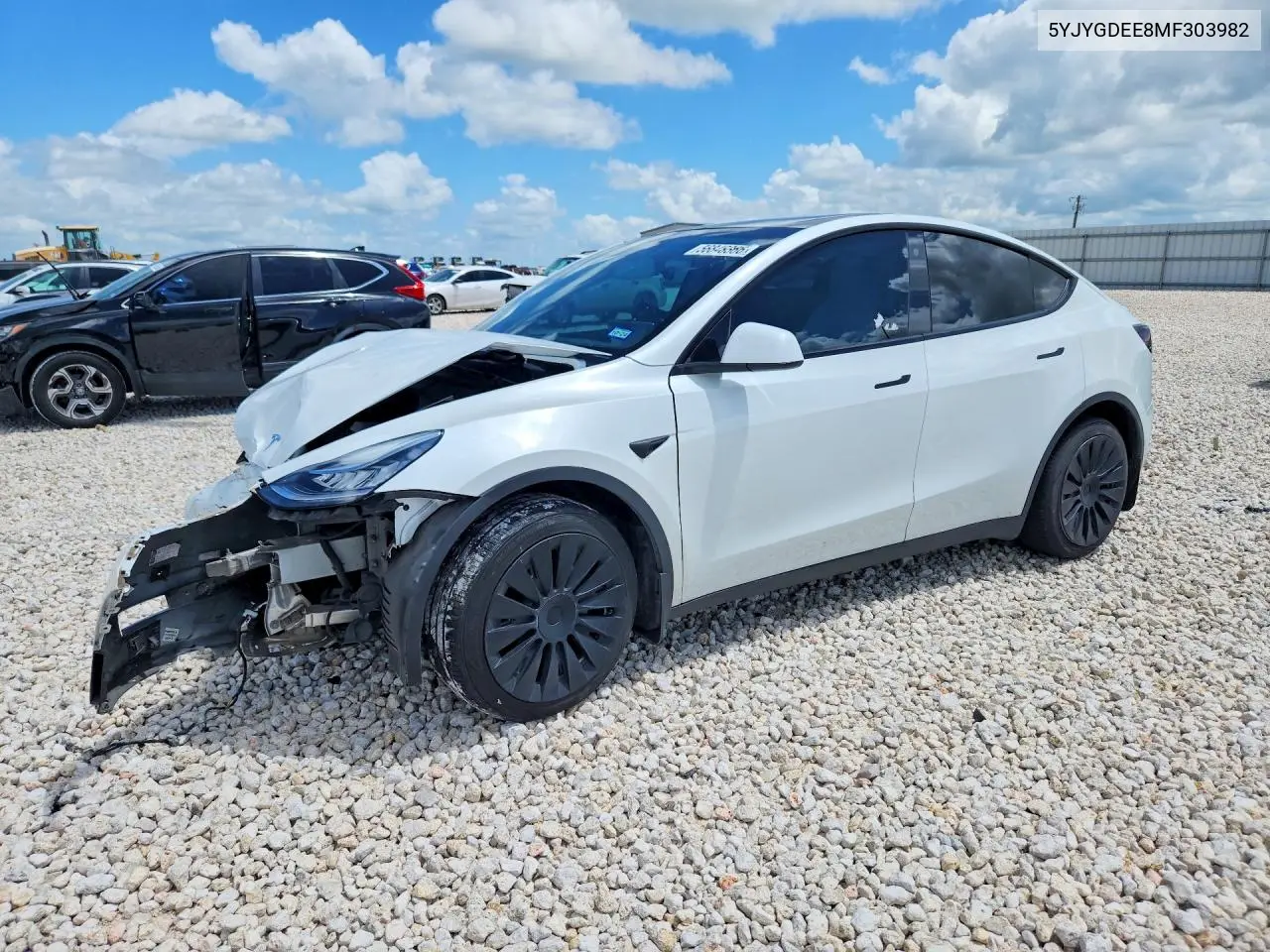 2021 Tesla Model Y