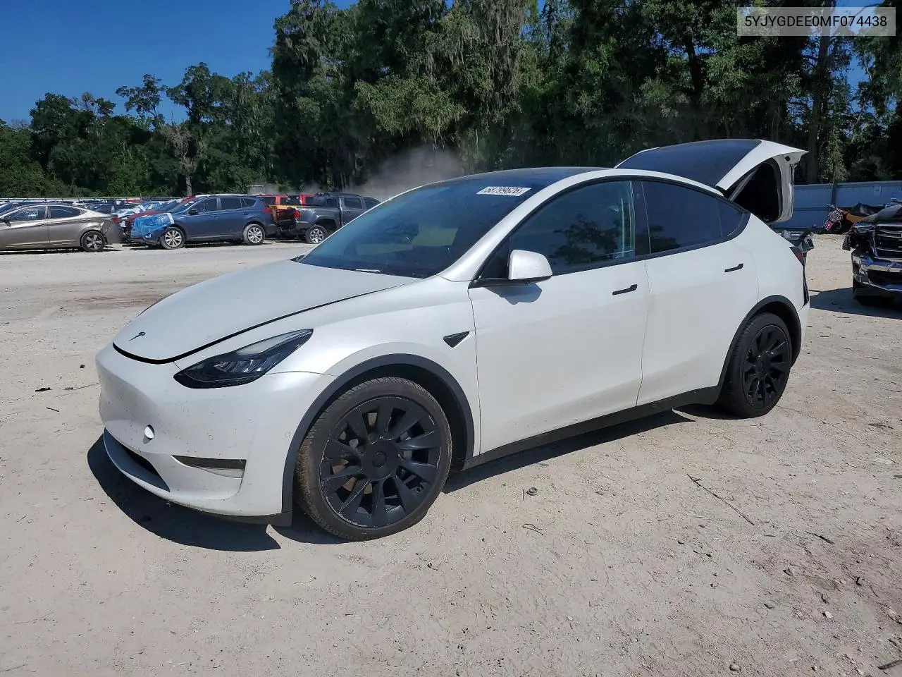 2021 Tesla Model Y
