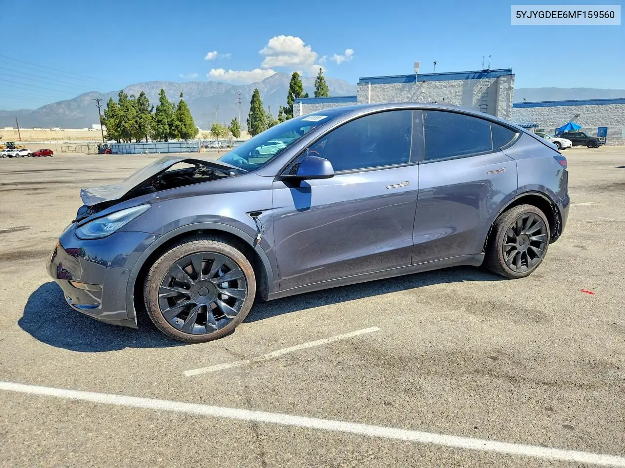 2021 Tesla Model Y