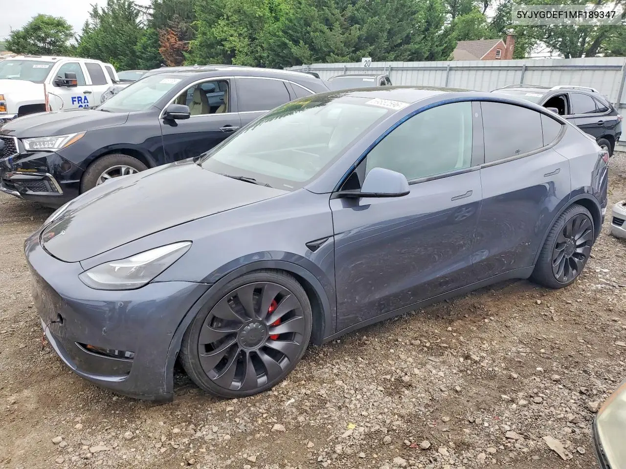 2021 Tesla Model Y