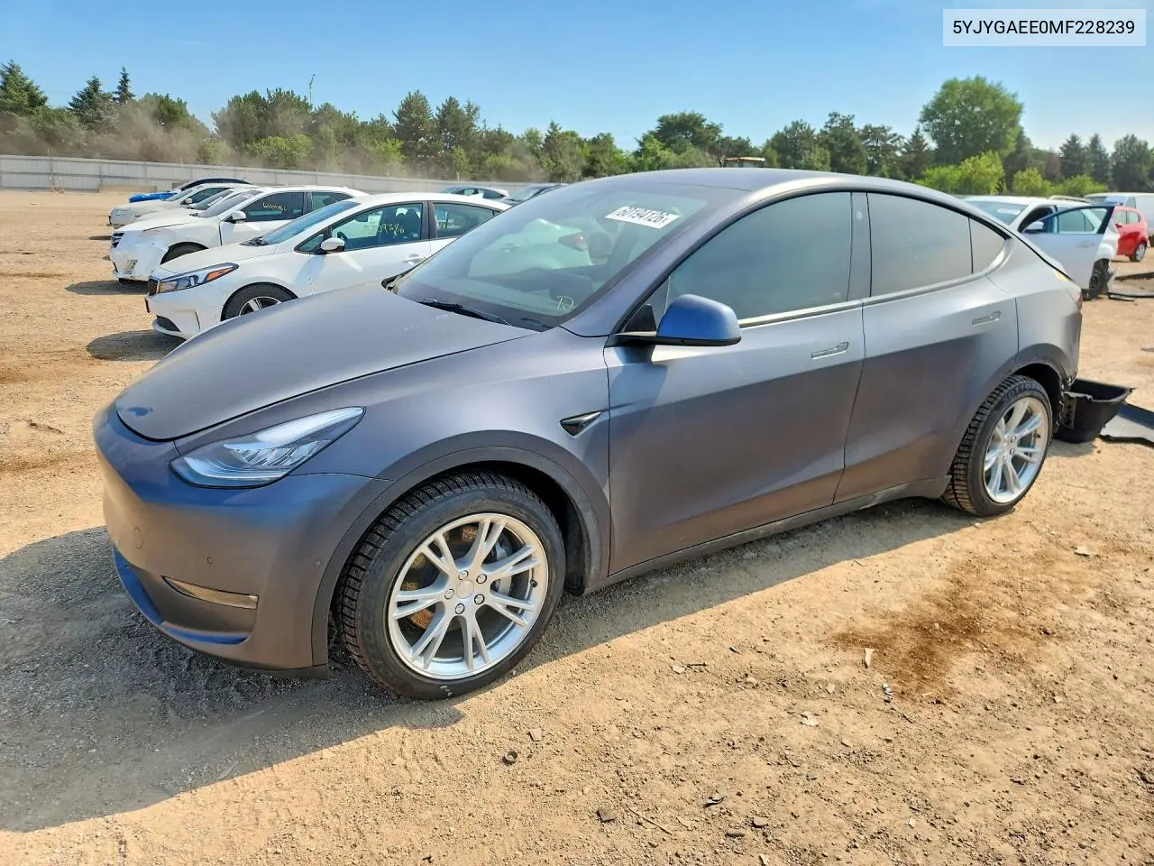 2021 Tesla Model Y