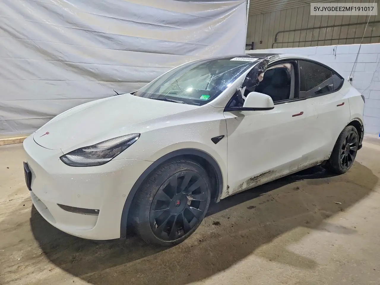 2021 Tesla Model Y