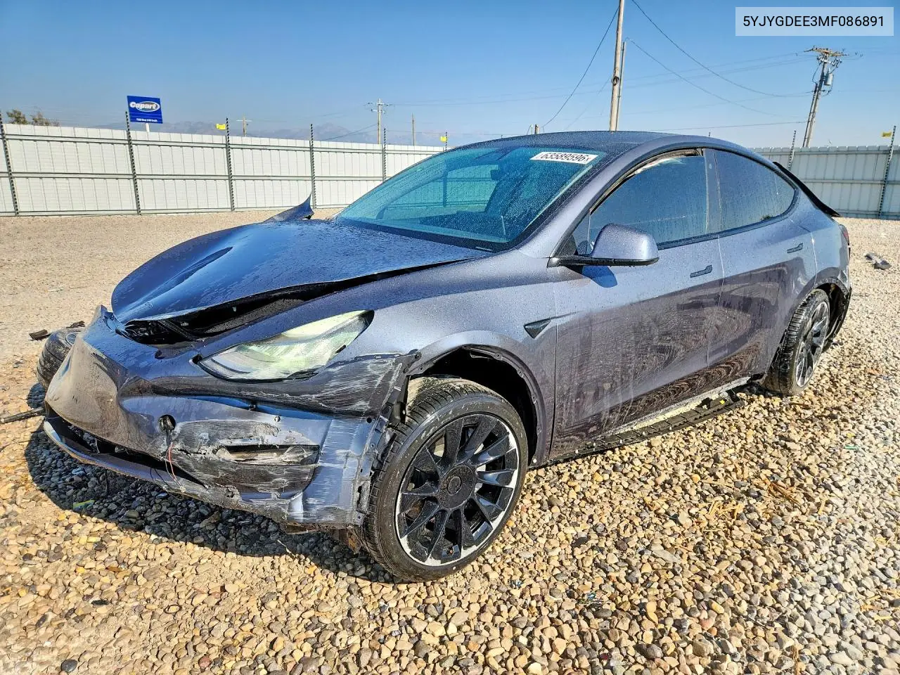 2021 Tesla Model Y