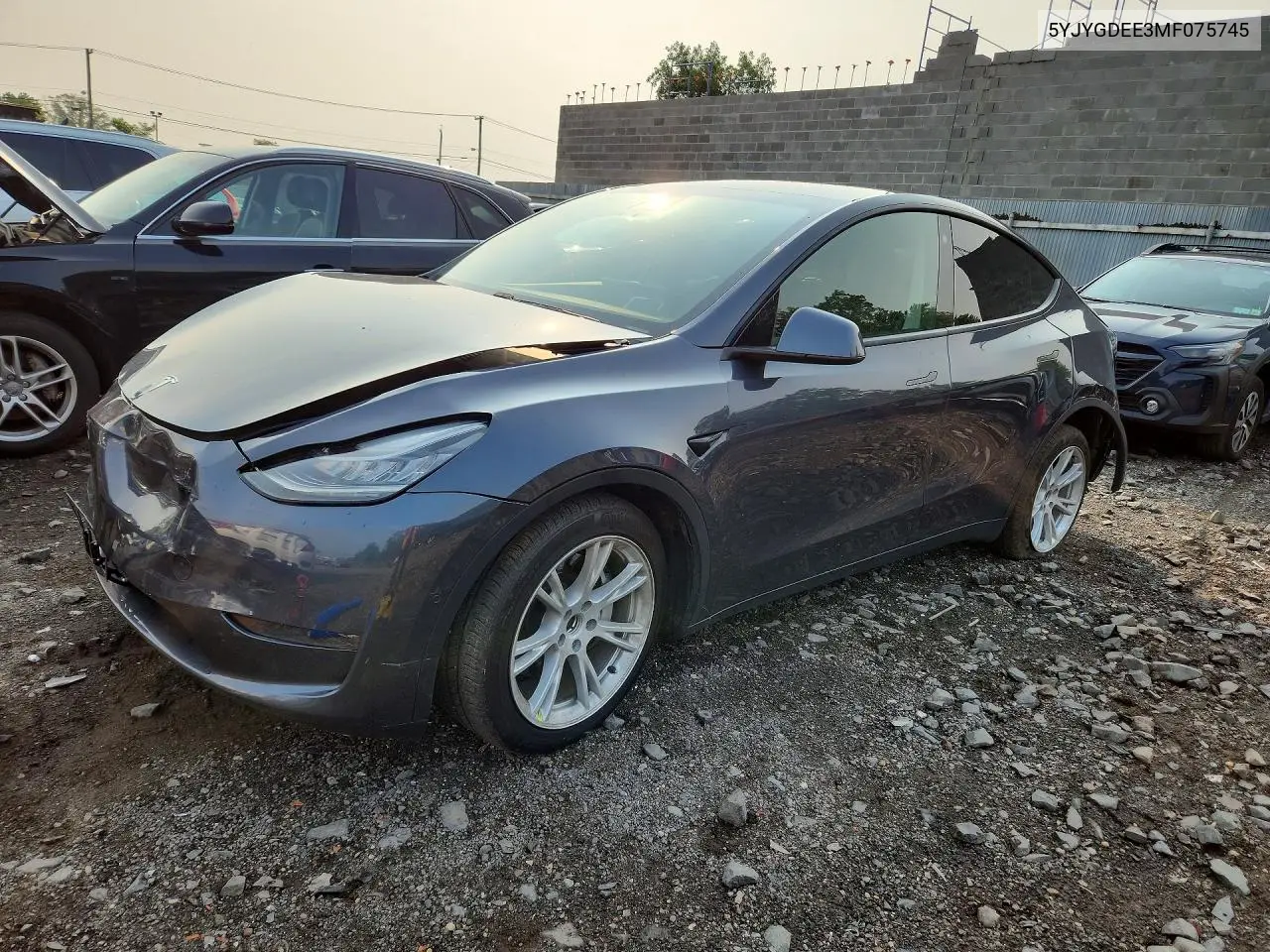 2021 Tesla Model Y