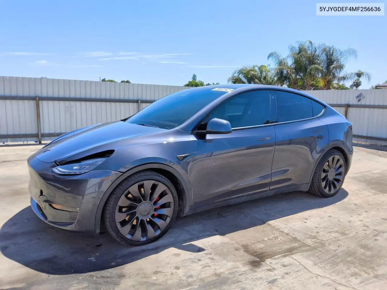 2021 Tesla Model Y