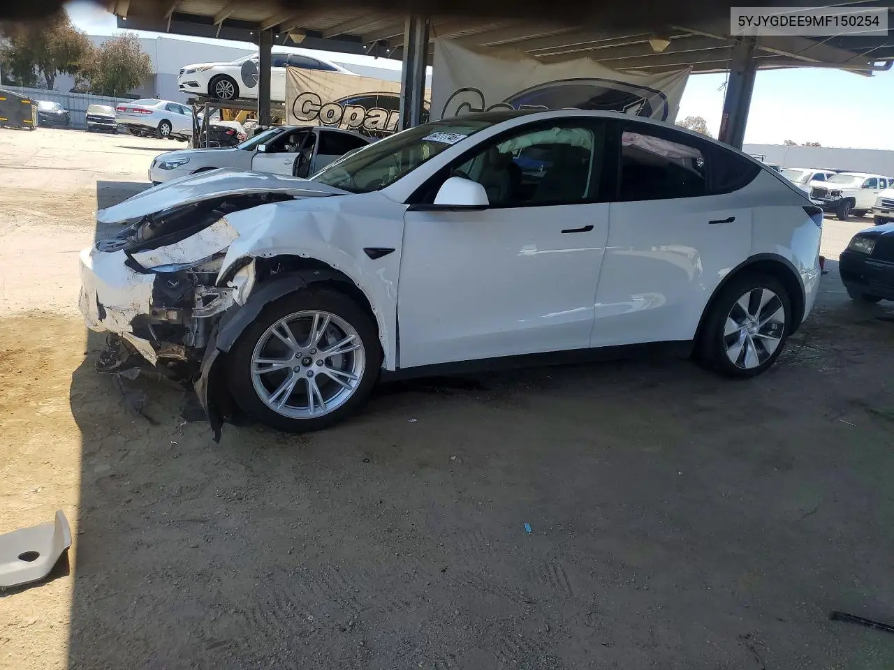 2021 Tesla Model Y
