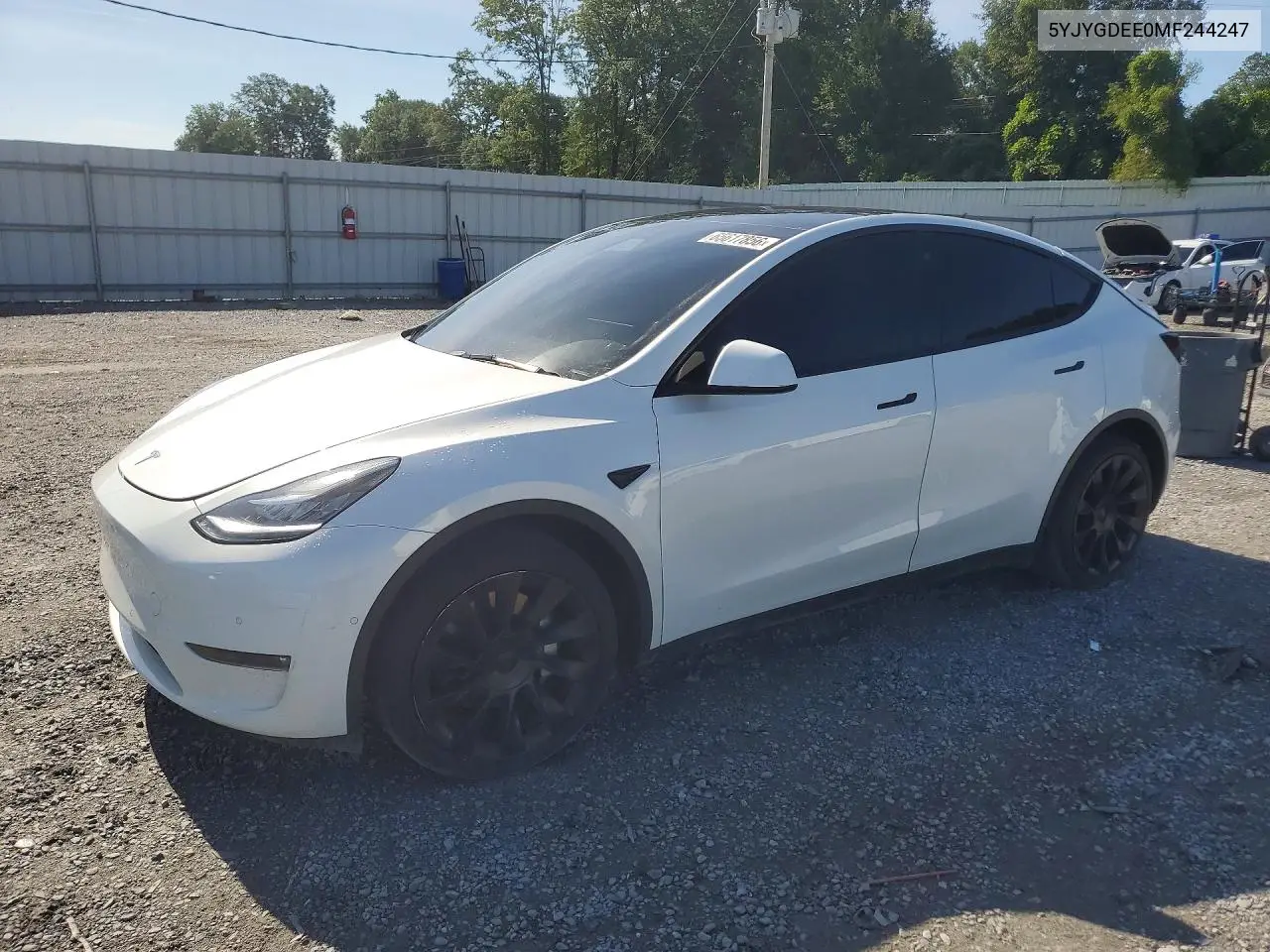 2021 Tesla Model Y